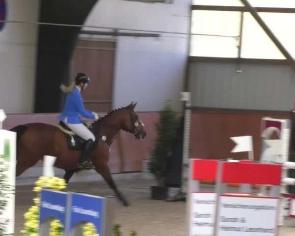 Reitturnier Viernheim 2018