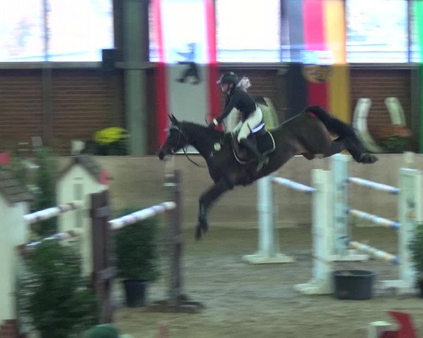 Reitturnier Köln-Leverkusen 2018