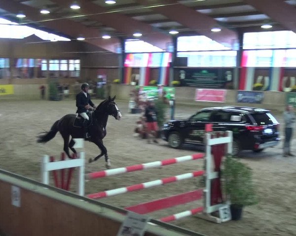 Reitturnier Köln-Leverkusen 2018