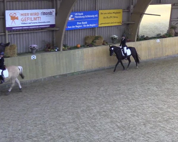Reitturnier Sörup 2018