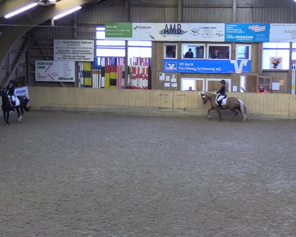 Reitturnier Sörup 2018