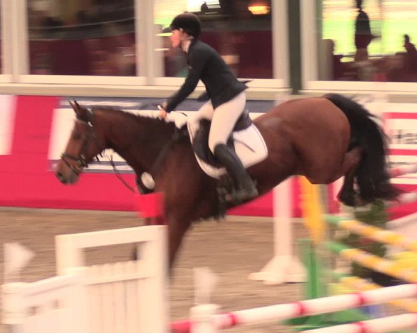 Salzkottener Pferdefestival 2018
