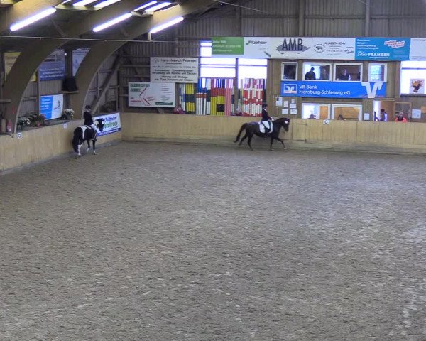 Reitturnier Sörup 2018