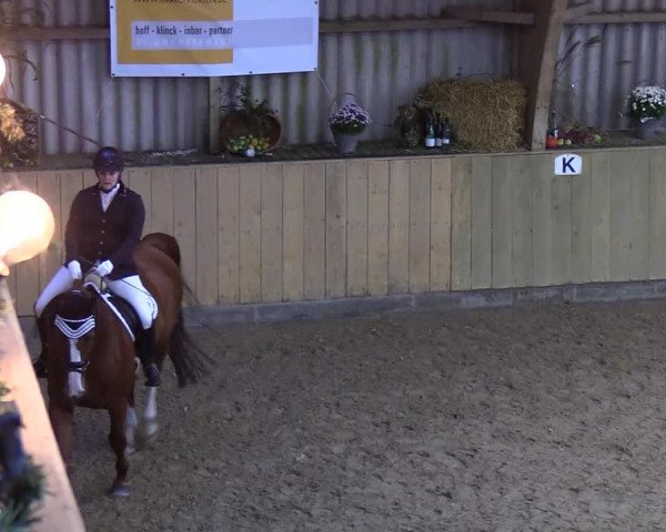 Reitturnier Sörup 2018