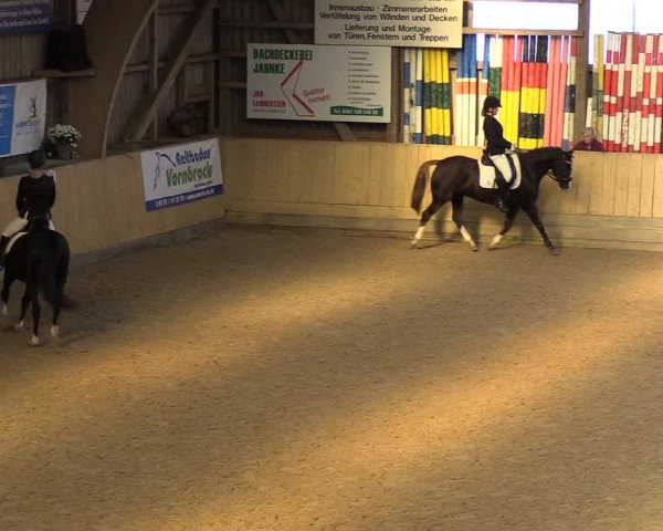 Reitturnier Sörup 2018