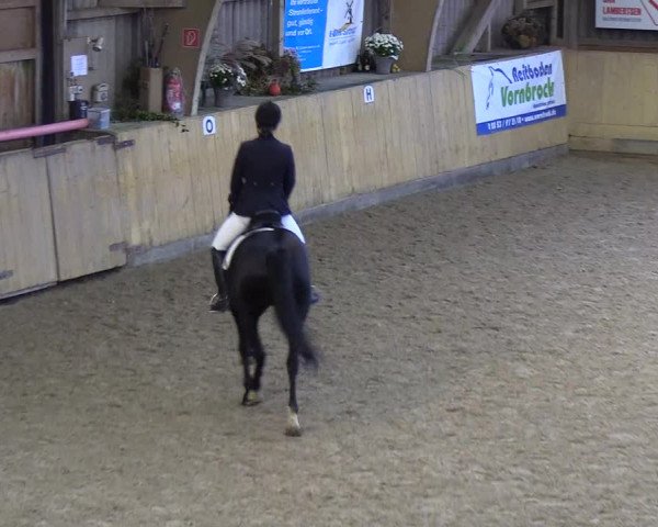 Reitturnier Sörup 2018