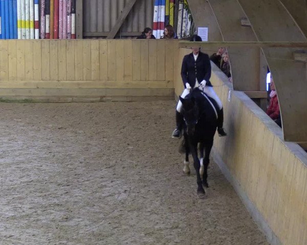 Reitturnier Sörup 2018