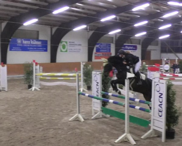 Reitturnier Viernheim 2018