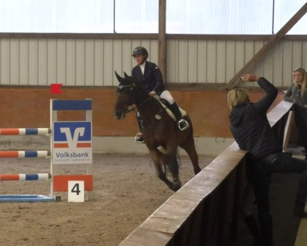 Reitturnier Viernheim 2018