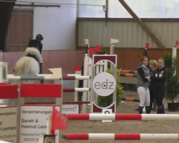 Reitturnier Viernheim 2018