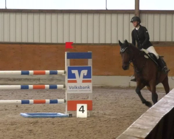 Reitturnier Viernheim 2018
