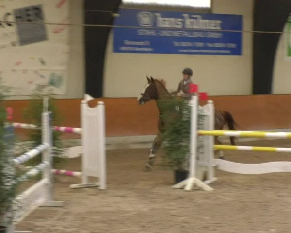 Reitturnier Viernheim 2018