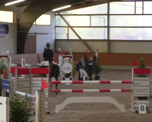 Reitturnier Viernheim 2018