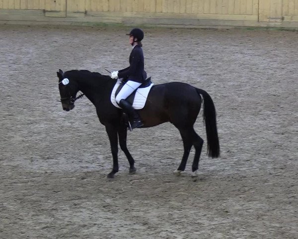 Reitturnier Sörup 2018