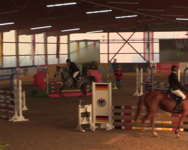 Reitturnier Pausin 2018