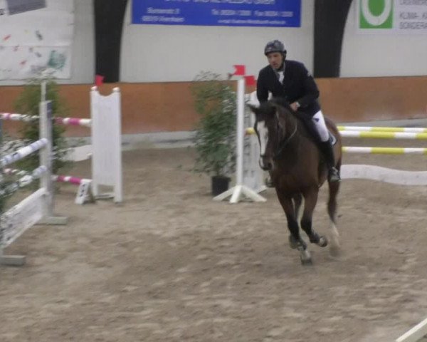 Reitturnier Viernheim 2018