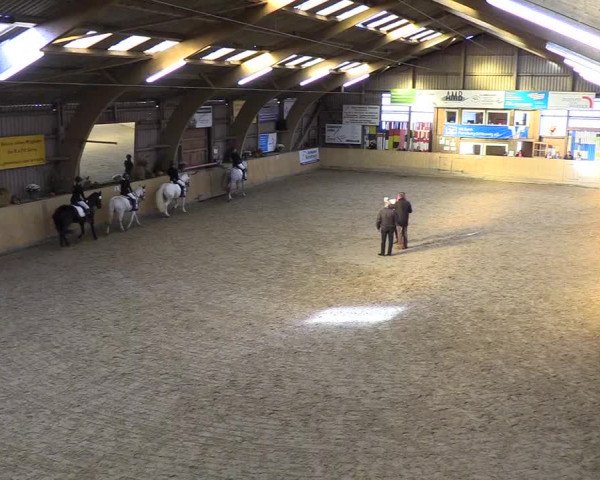 Reitturnier Sörup 2018