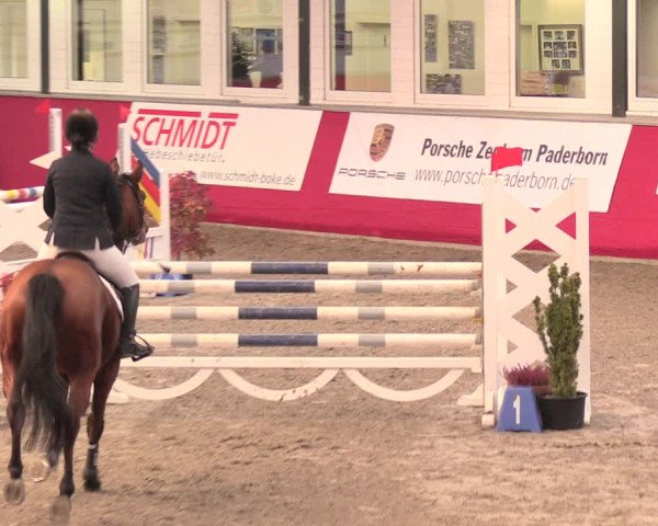 Salzkottener Pferdefestival 2018