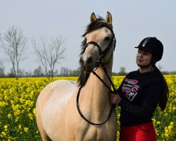 Zuchtstute Lady Lane 5 (Deutsches Reitpony, 2014, von Diors Daikiri)