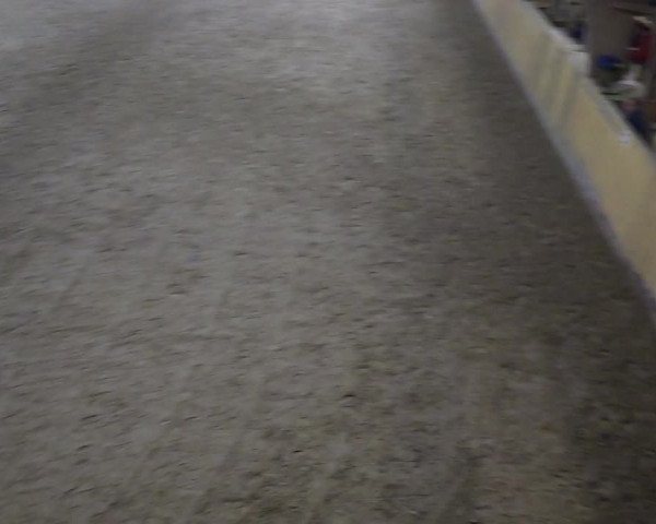 Reitturnier Sörup 2018