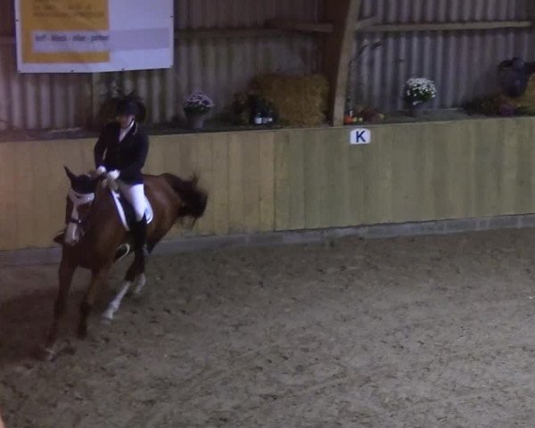 Reitturnier Sörup 2018