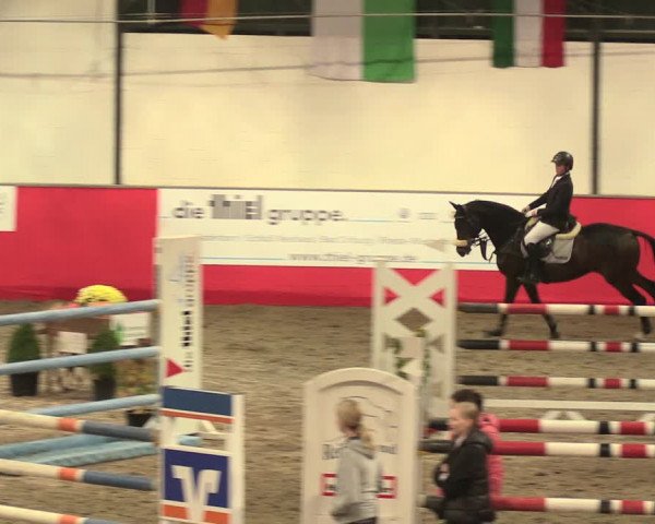 Salzkottener Pferdefestival 2018