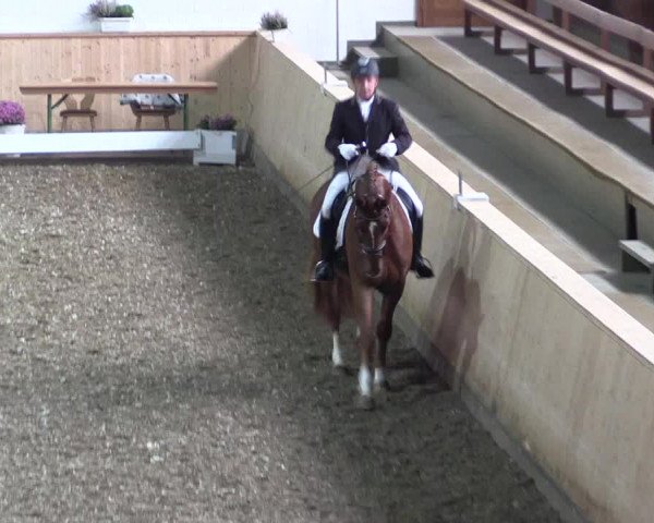 Reitturnier Hövelhof 2018