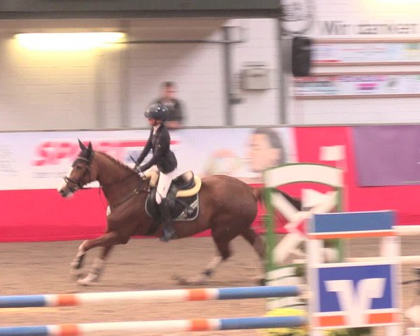 Salzkottener Pferdefestival 2018