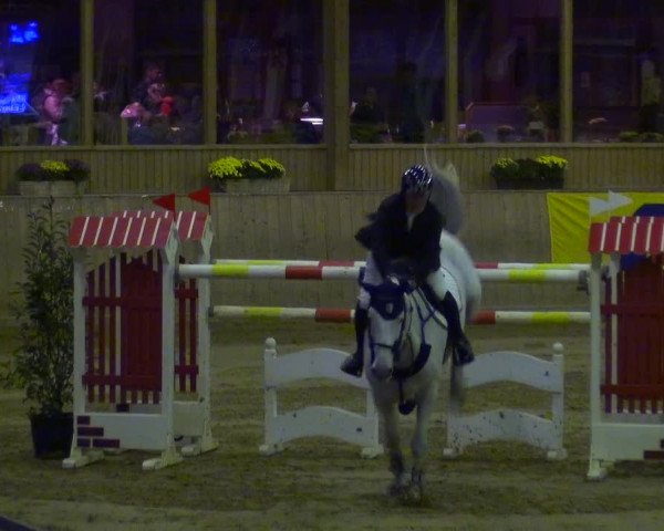 Reitturnier Köln-Leverkusen 2018