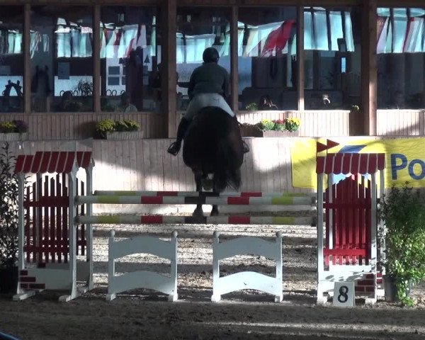 Reitturnier Köln-Leverkusen 2018