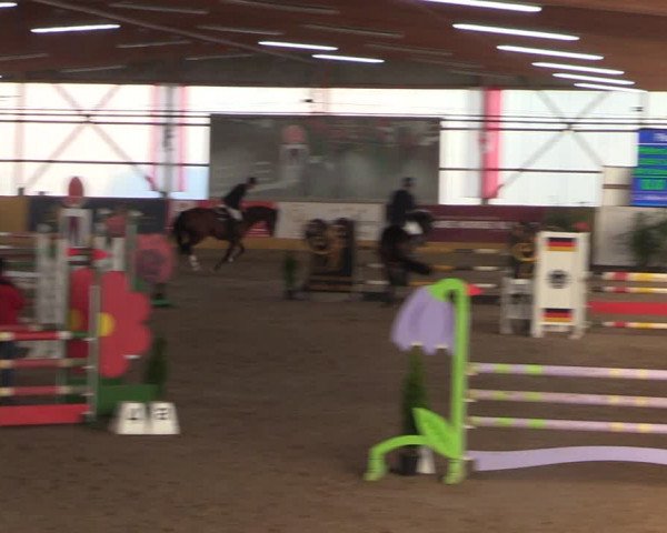 Reitturnier Pausin 2018