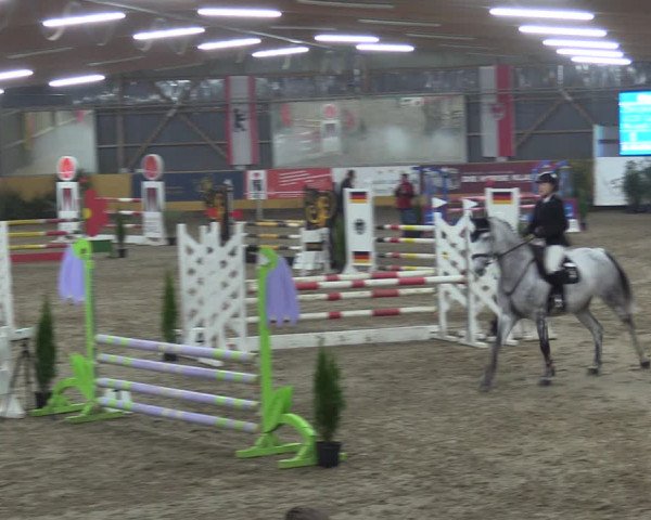 Reitturnier Pausin 2018
