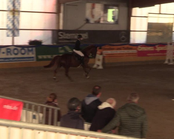 Reitturnier Pausin 2018