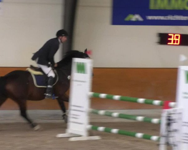 Reitturnier Viernheim 2018