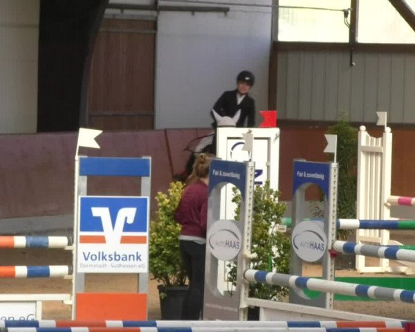 Reitturnier Viernheim 2018
