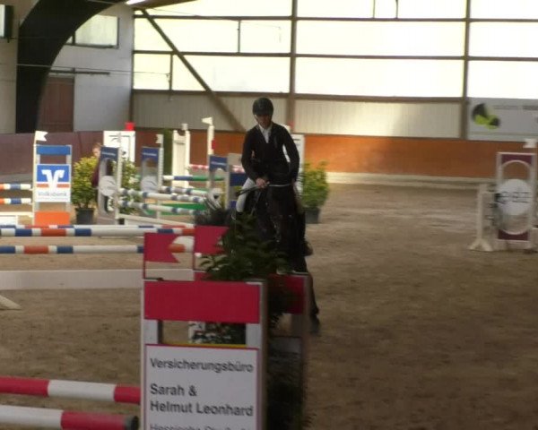 Reitturnier Viernheim 2018