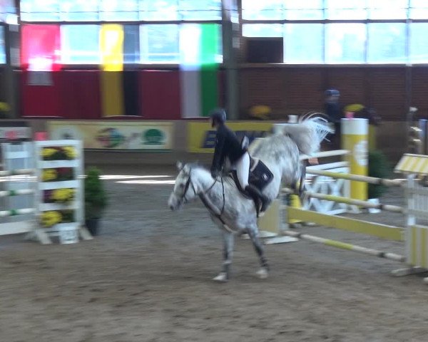 Reitturnier Köln-Leverkusen 2018