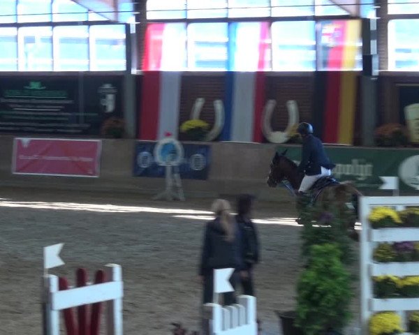 Reitturnier Köln-Leverkusen 2018