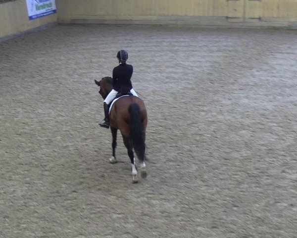 Reitturnier Sörup 2018