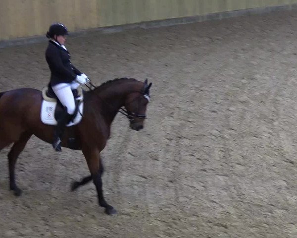 Reitturnier Sörup 2018