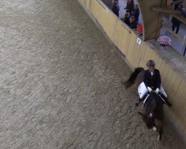 Reitturnier Sörup 2018