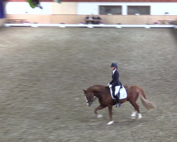 Reitturnier Hövelhof 2018