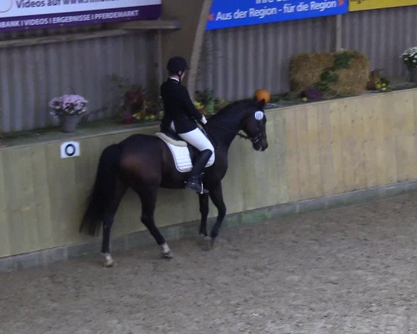 Reitturnier Sörup 2018