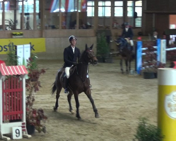 Reitturnier Köln-Leverkusen 2018