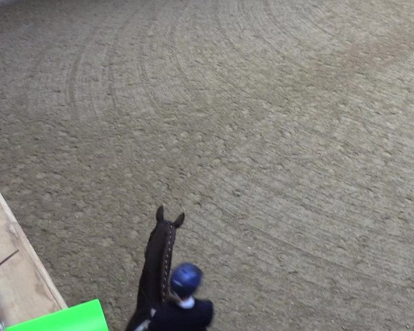 Reitturnier Sörup 2018