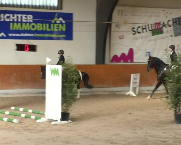 Reitturnier Viernheim 2018