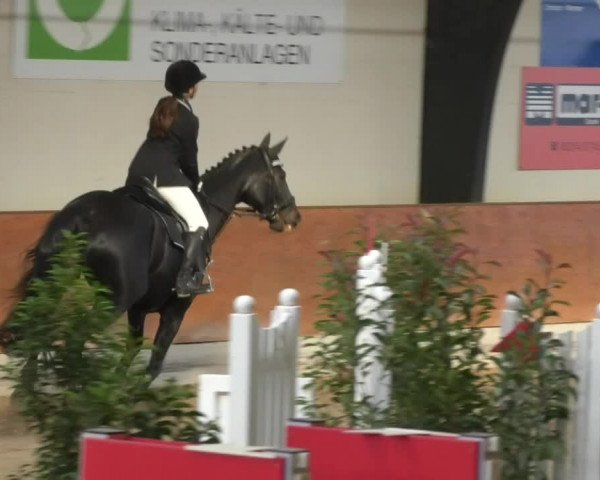 Reitturnier Viernheim 2018