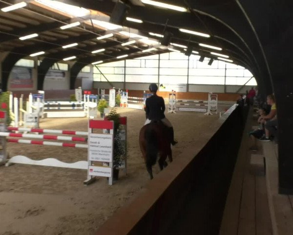 Reitturnier Viernheim 2018
