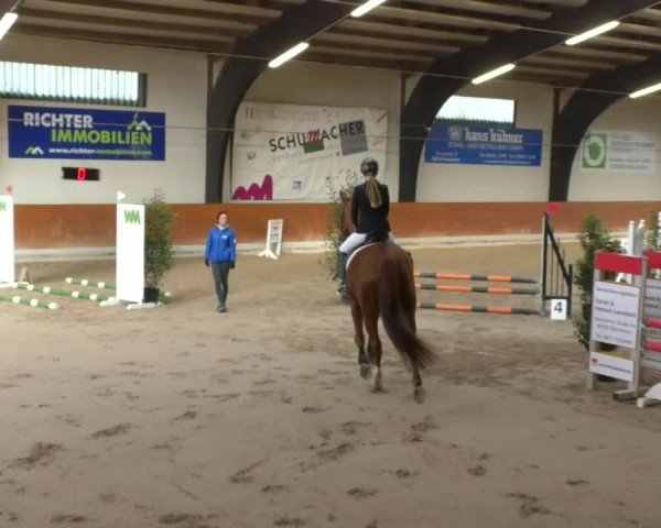 Reitturnier Viernheim 2018