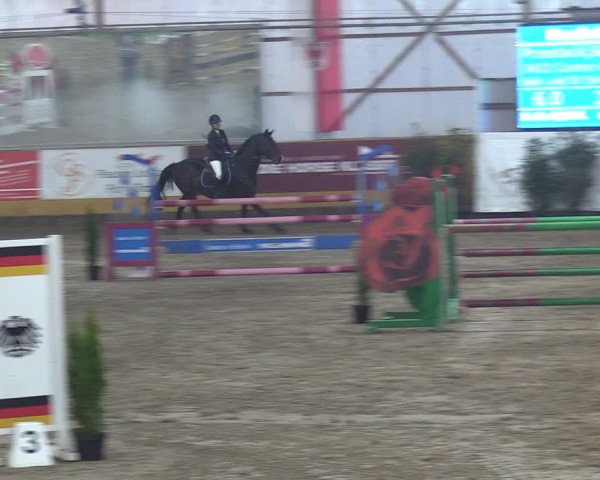 Reitturnier Pausin 2018
